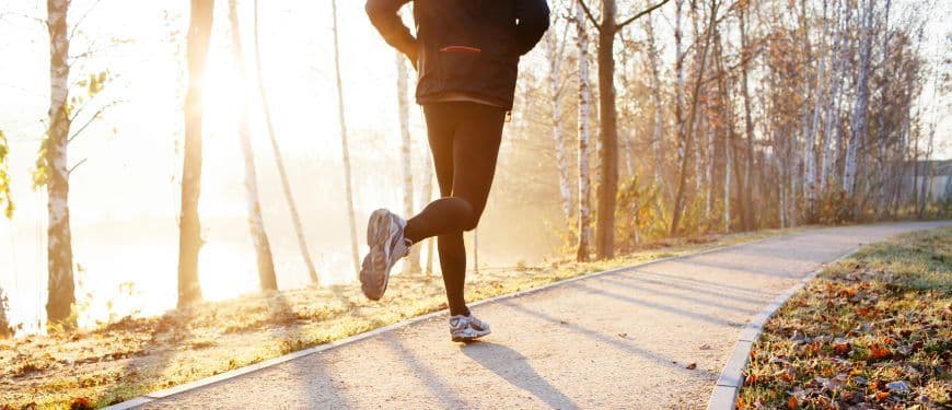 Glutamine et prise de poids : mythe ou réalité ?