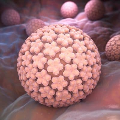 Papillomavirus : prévenir, dépister, protéger